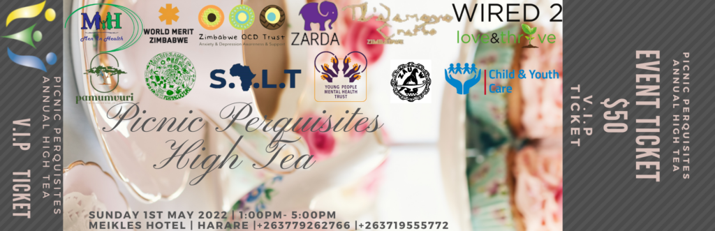 VIP TICKET PICNIC PERKS MENTAL HEALTH FOR WOMEN 1522 1 1024x331 1