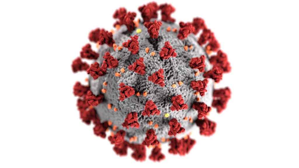 cdc k0KRNtqcjfw unsplash scaled 1