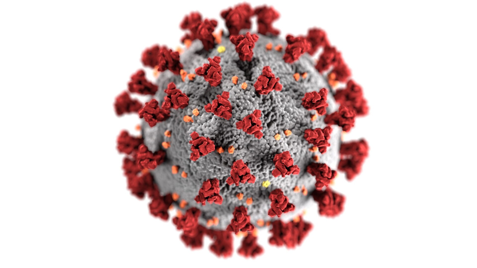 How are we dealing mentally with the COVID-19 pandemic?
